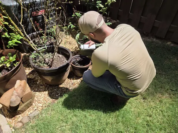 AMC Mosquito technician checking garden containers.