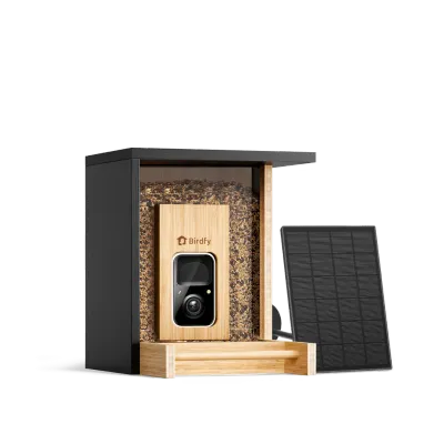 Birdfy Feeder Bamboo Mini